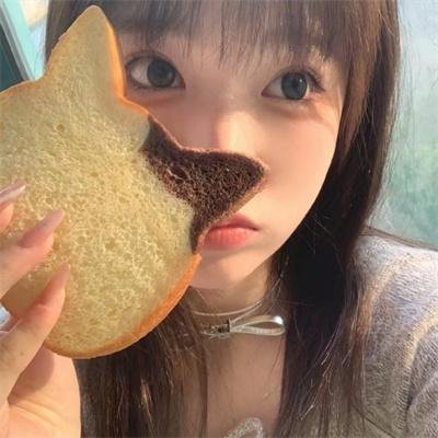 爱在猫咪疗愈时