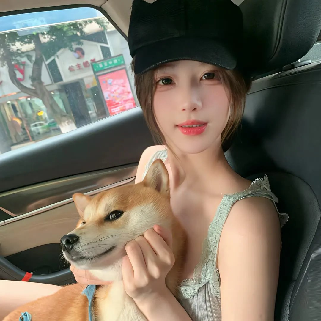 复仇狗联盟